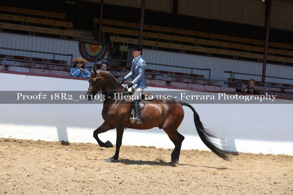 Proof 18R2_01103