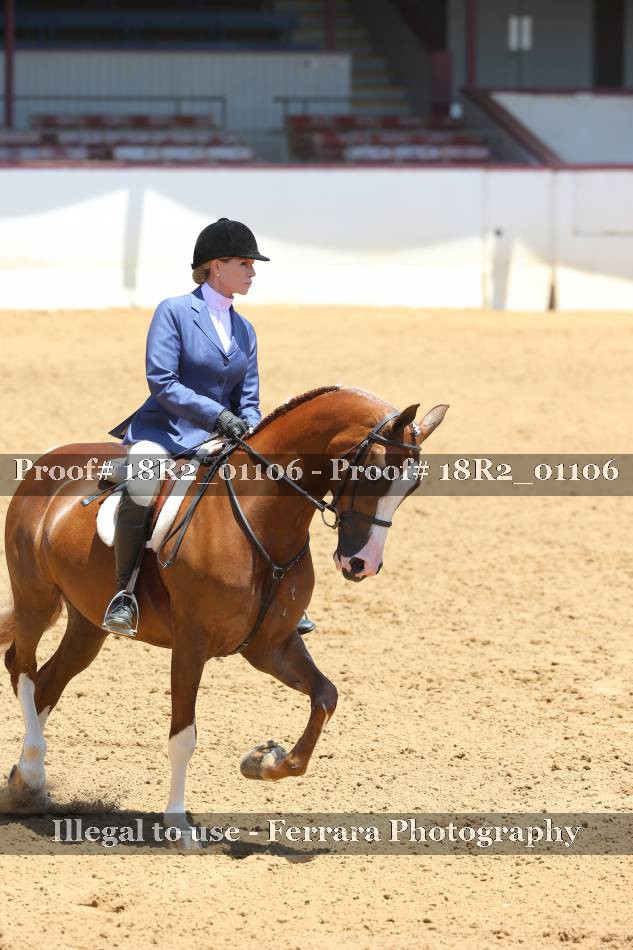 Proof 18R2_01106