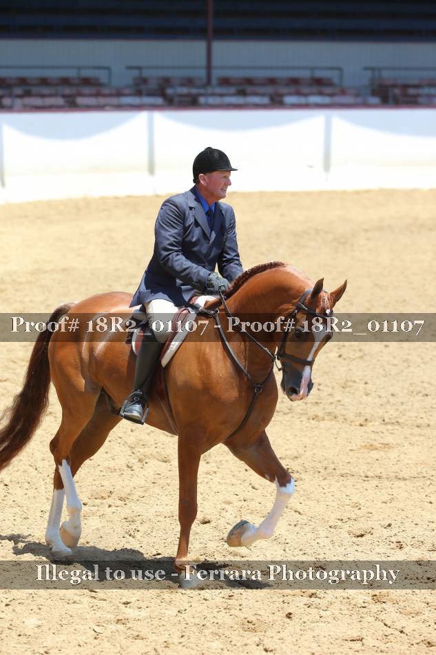 Proof 18R2_01107