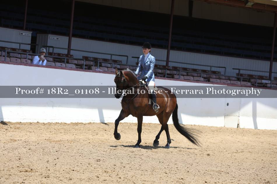 Proof 18R2_01108