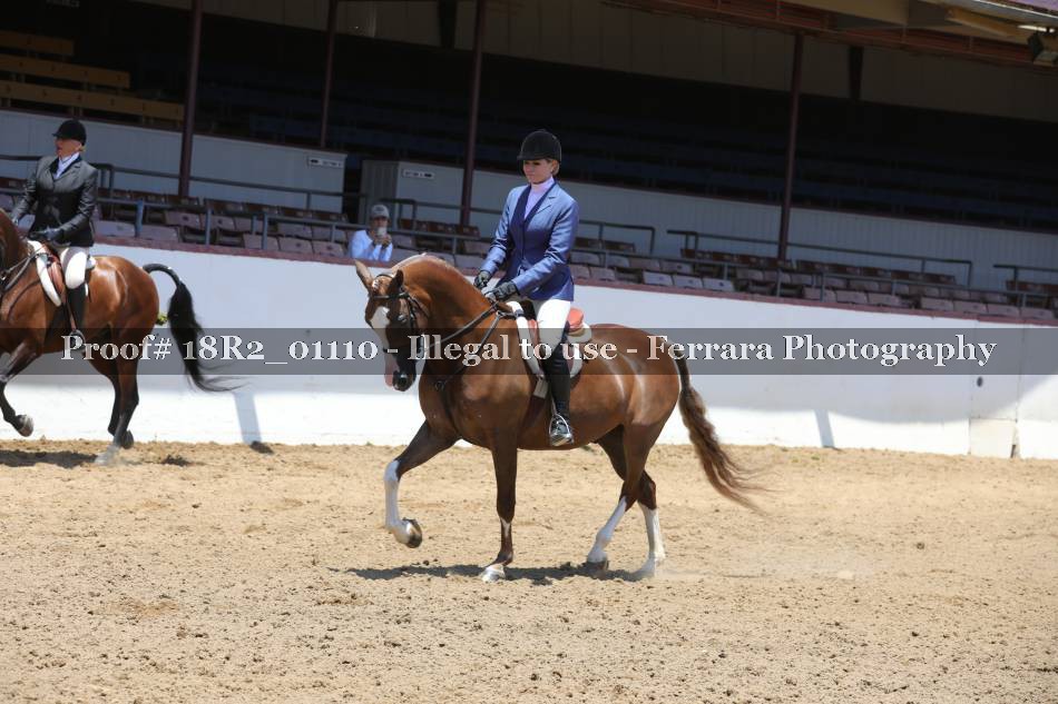 Proof 18R2_01110