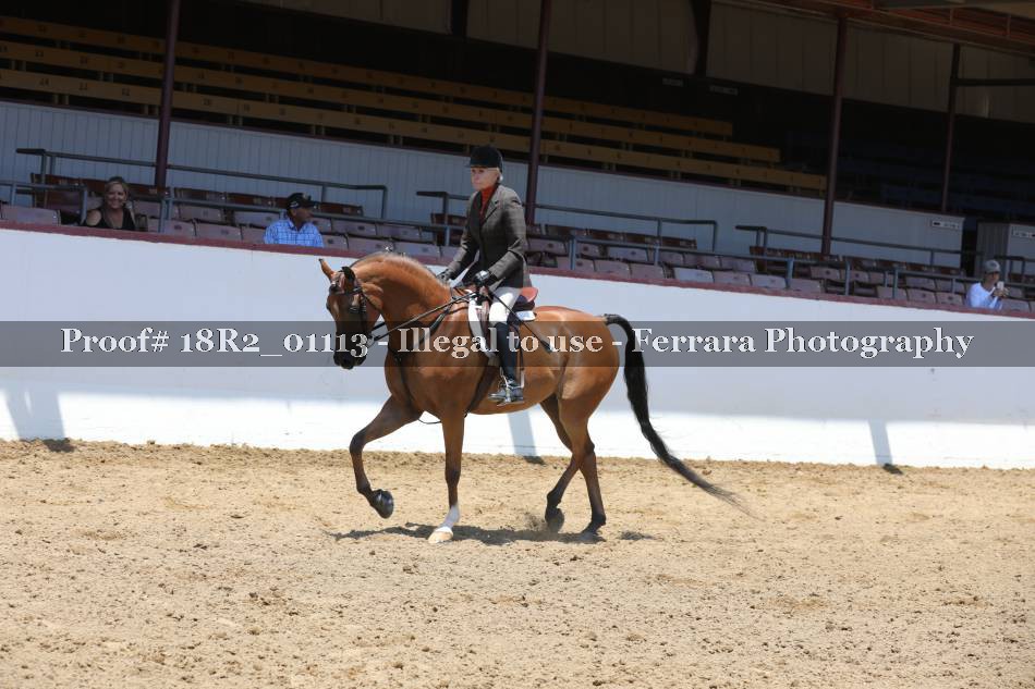 Proof 18R2_01113