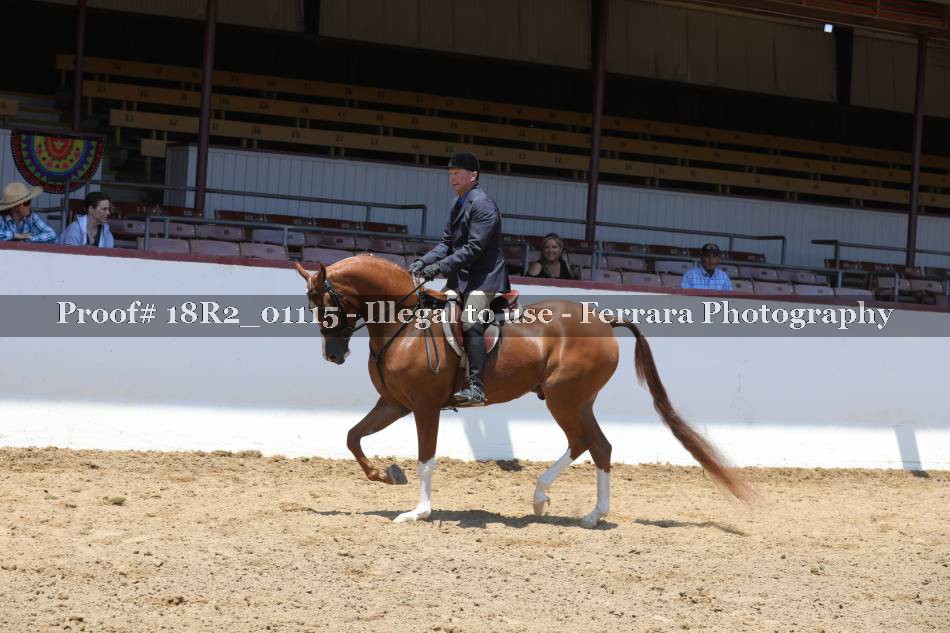 Proof 18R2_01115