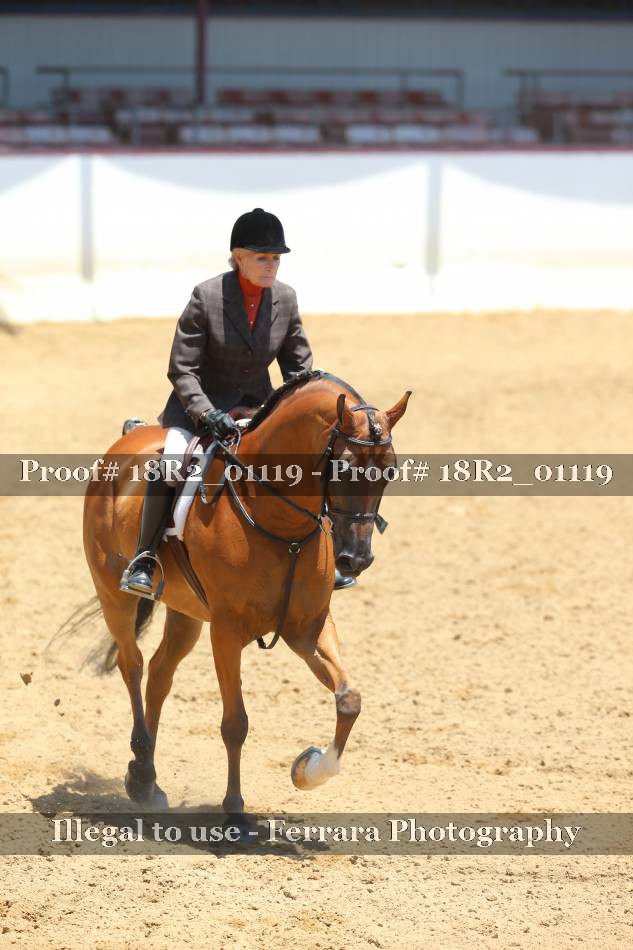 Proof 18R2_01119