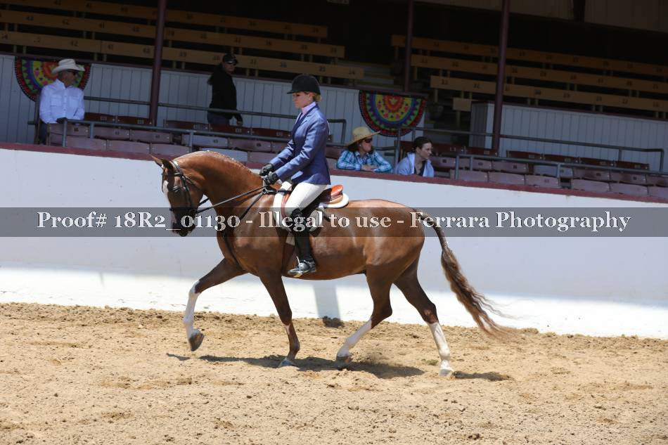 Proof 18R2_01130