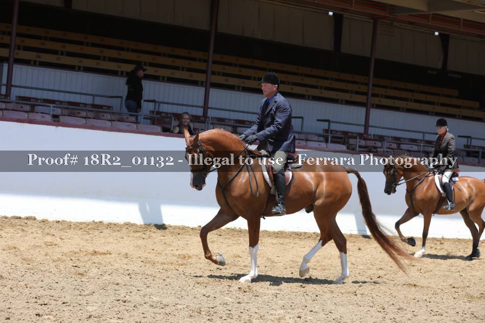 Proof 18R2_01132