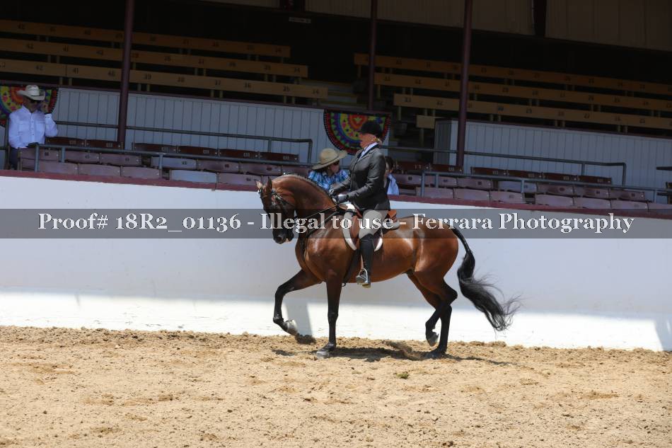 Proof 18R2_01136