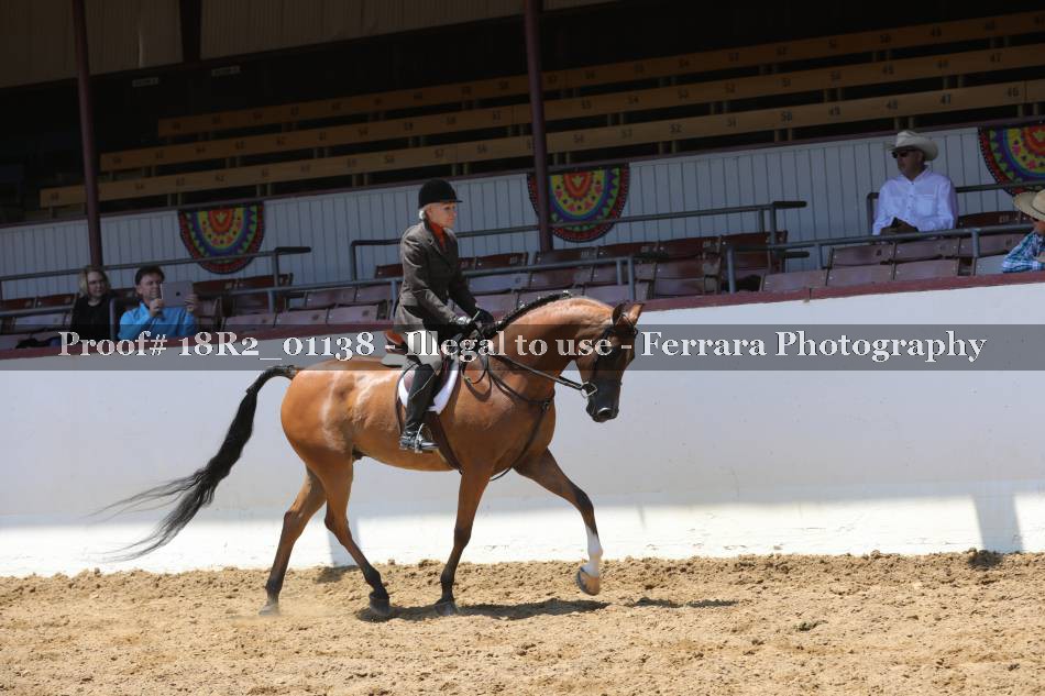 Proof 18R2_01138