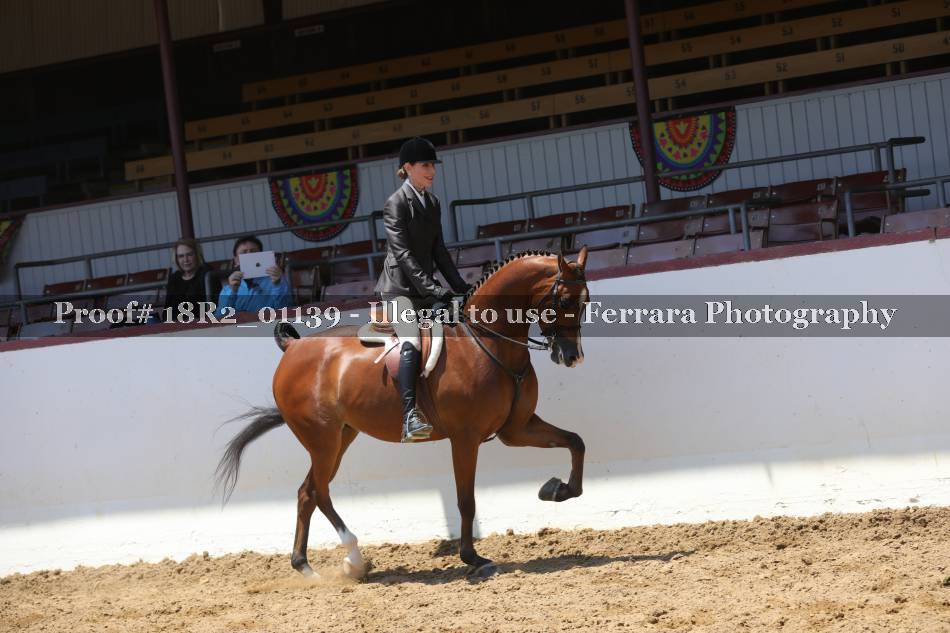 Proof 18R2_01139