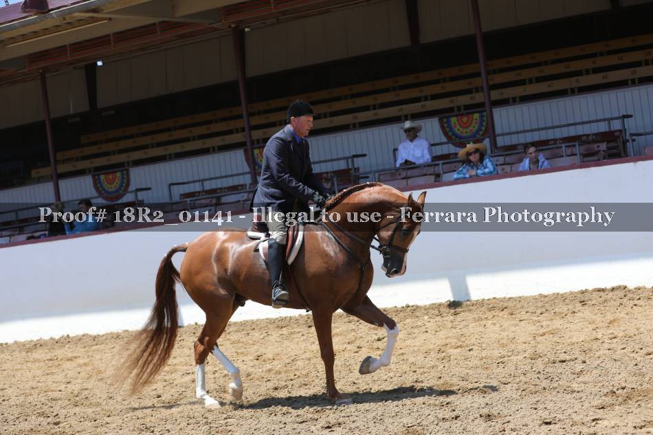 Proof 18R2_01141