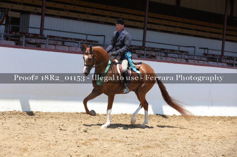 Proof 18R2_01153