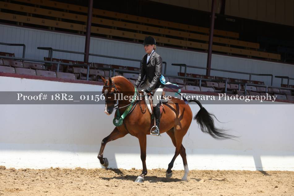 Proof 18R2_01156