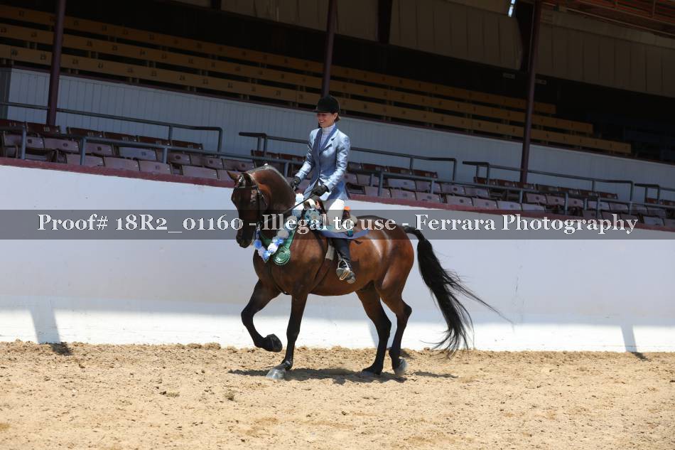 Proof 18R2_01160