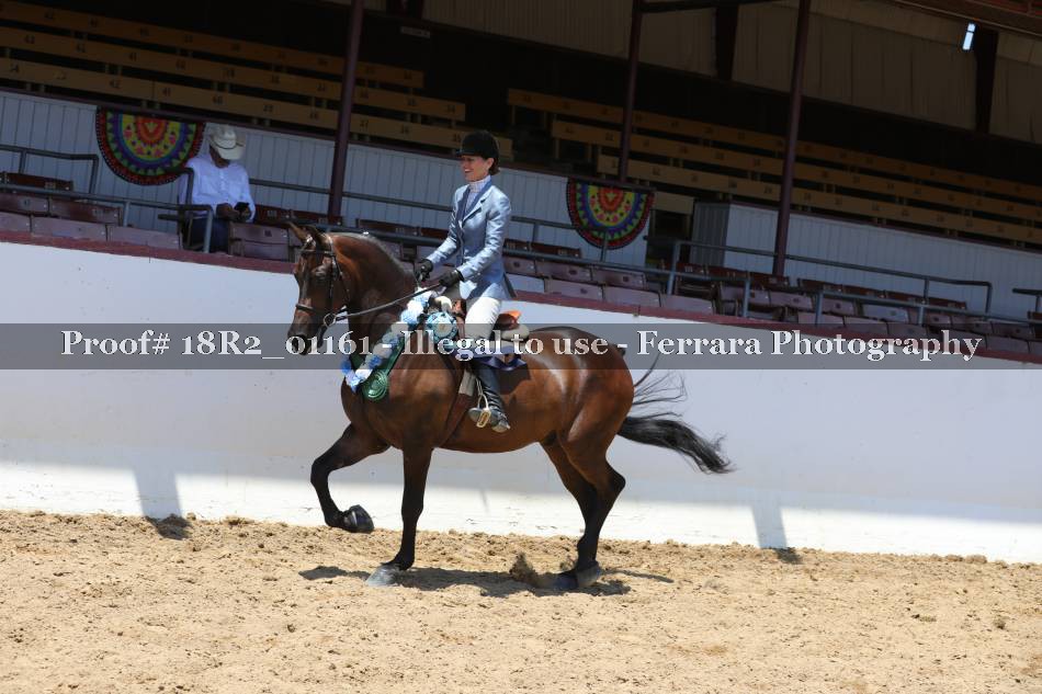 Proof 18R2_01161