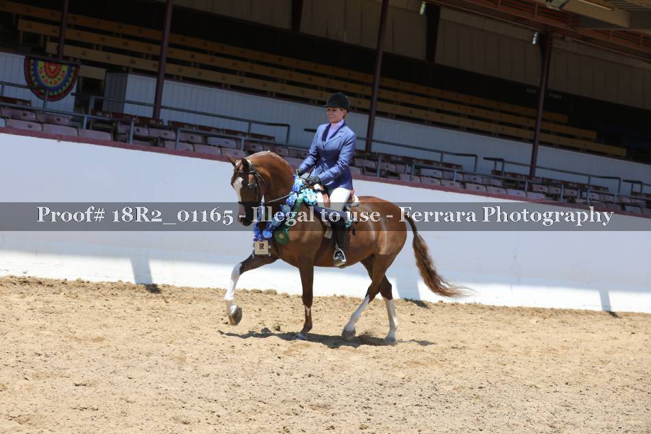 Proof 18R2_01165