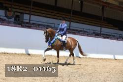 18R2_01165 proof