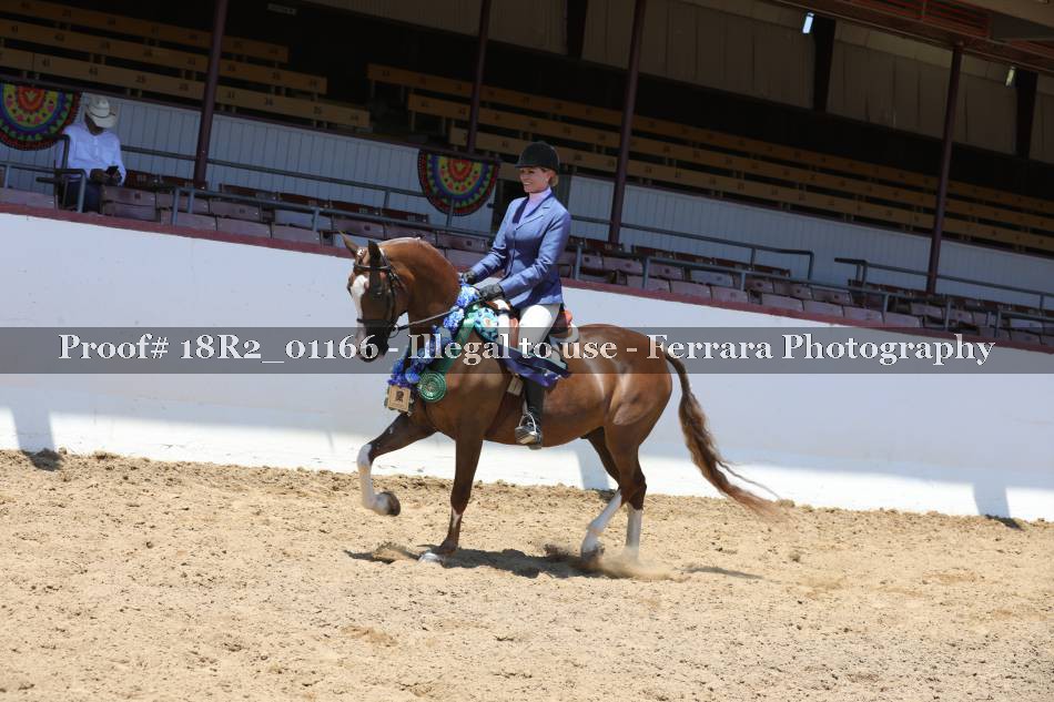 Proof 18R2_01166