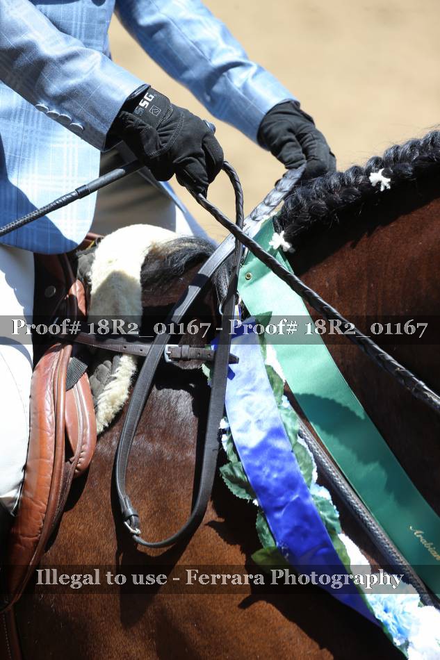 Proof 18R2_01167