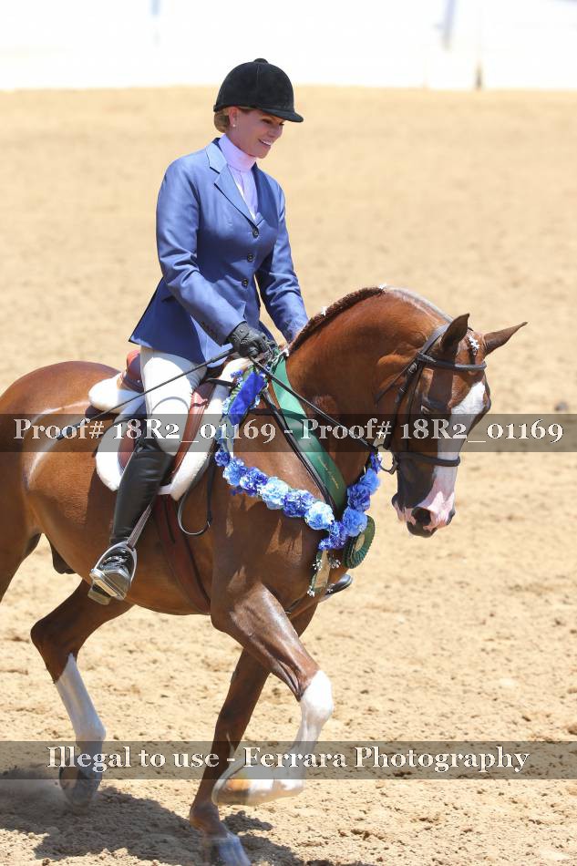 Proof 18R2_01169
