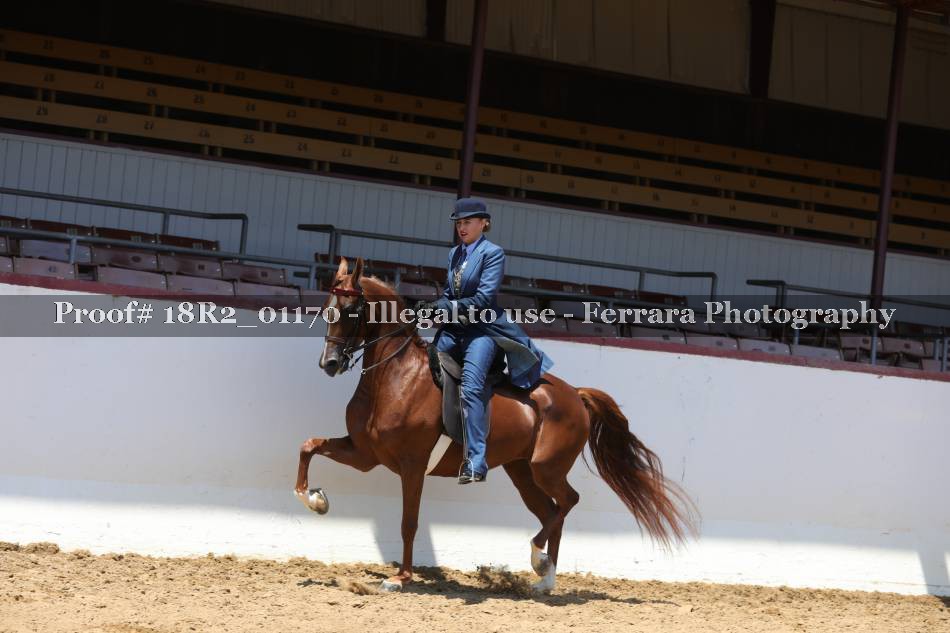 Proof 18R2_01170