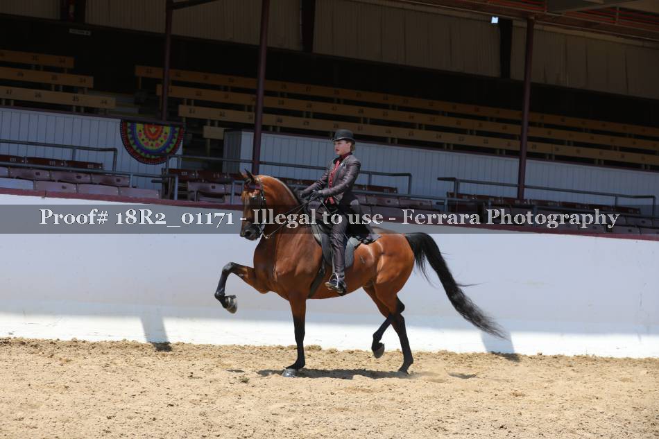 Proof 18R2_01171