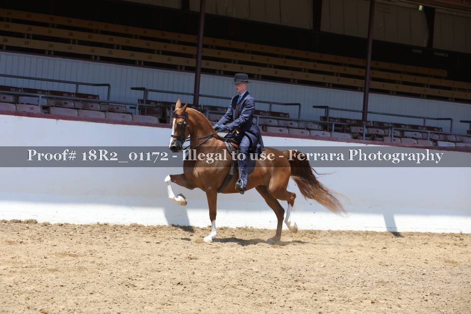 Proof 18R2_01172