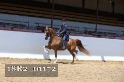 18R2_01172 proof