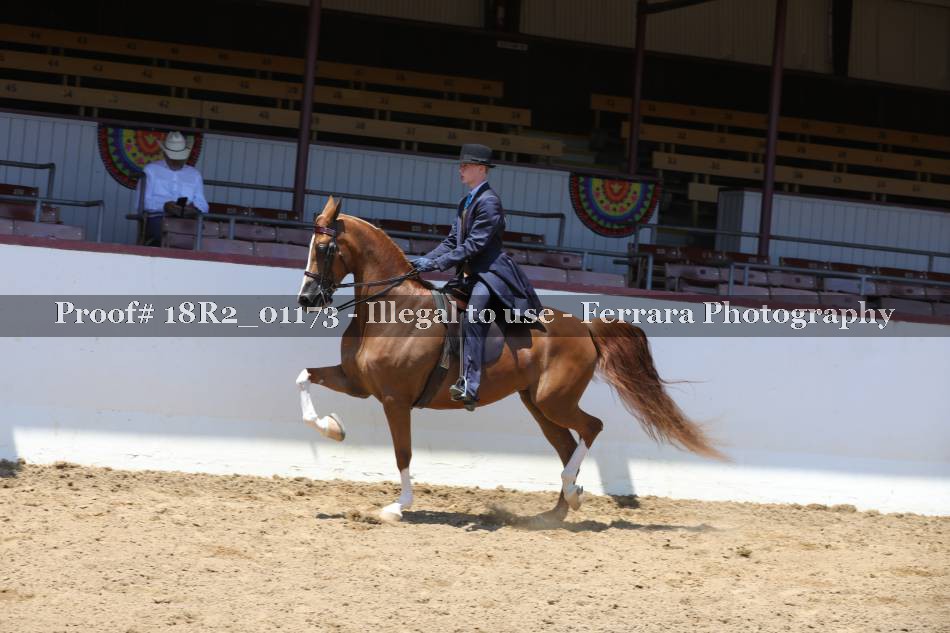 Proof 18R2_01173