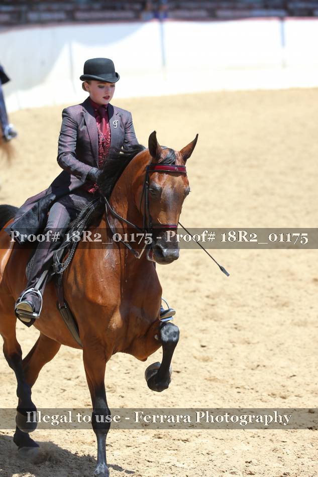 Proof 18R2_01175