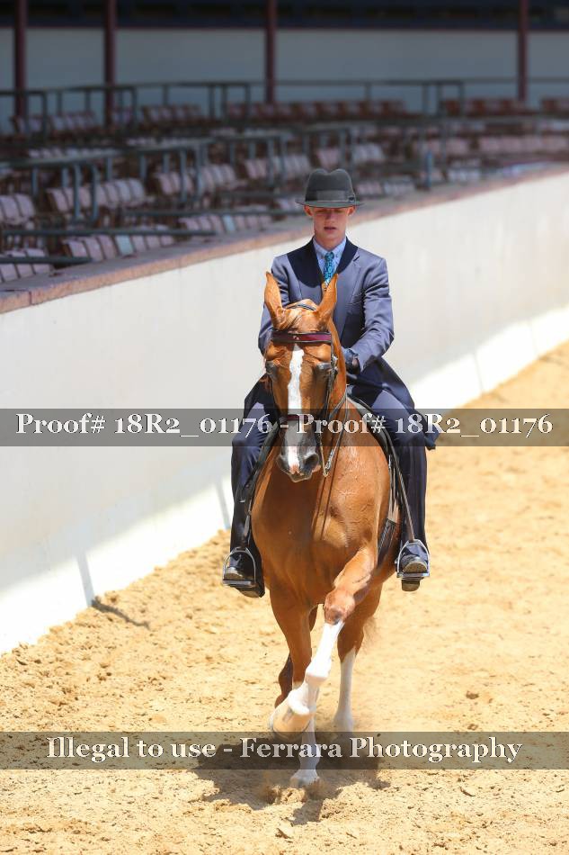 Proof 18R2_01176