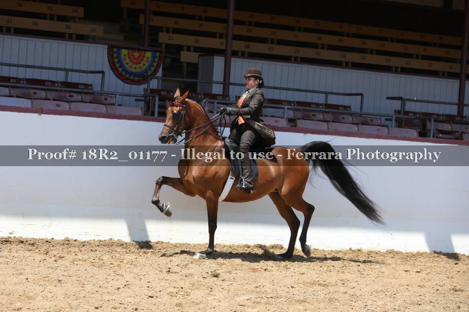 Proof 18R2_01177