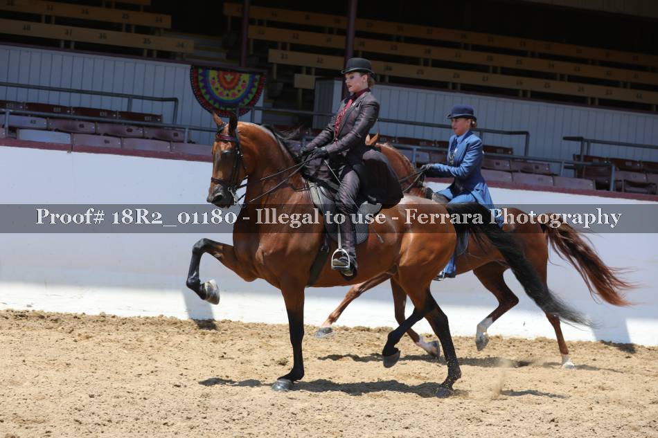 Proof 18R2_01180