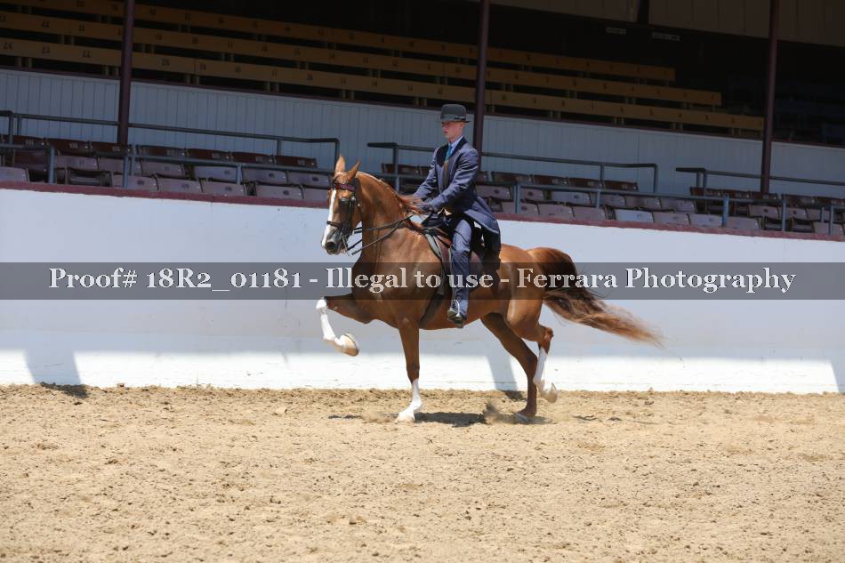 Proof 18R2_01181