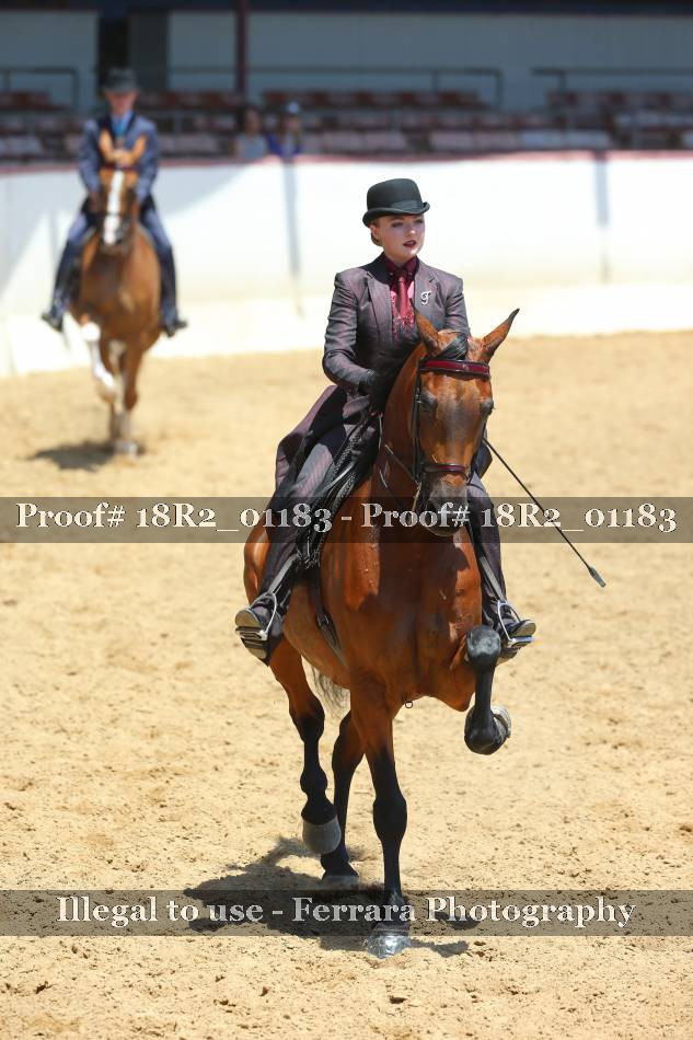 Proof 18R2_01183