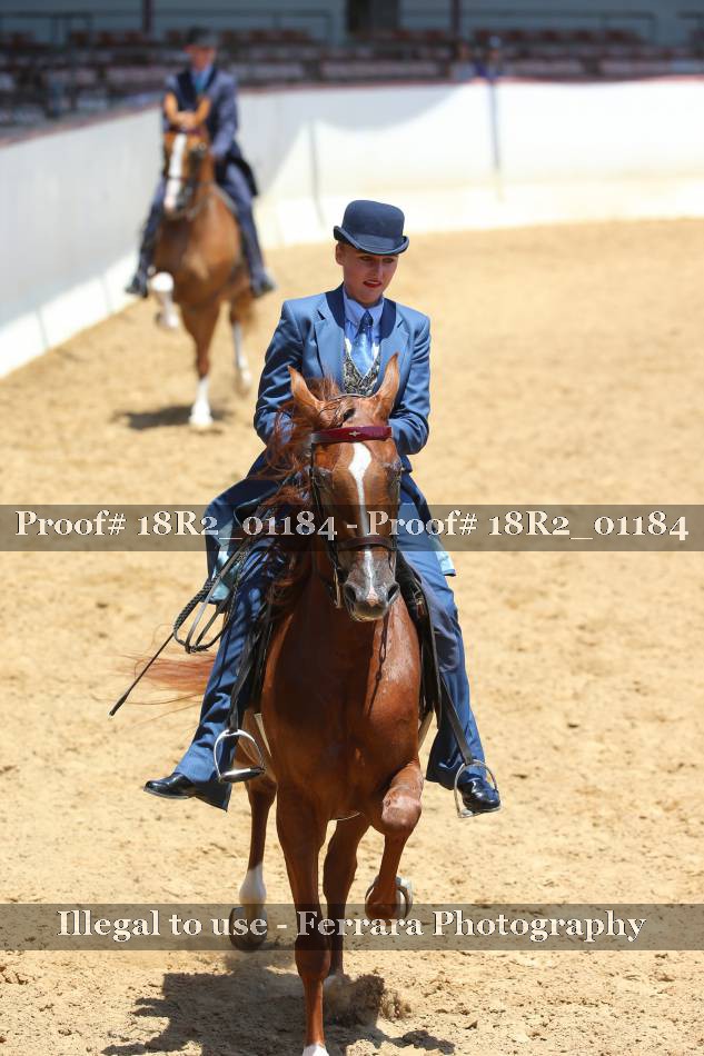 Proof 18R2_01184