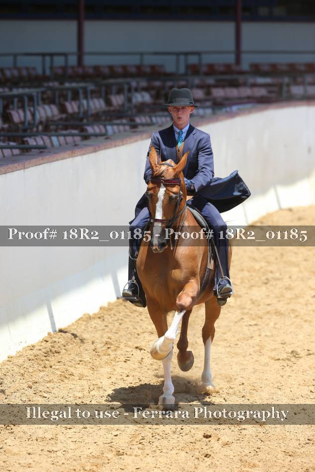 Proof 18R2_01185