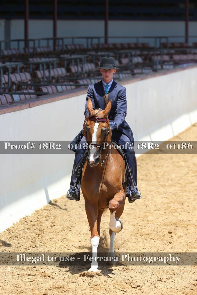 Proof 18R2_01186
