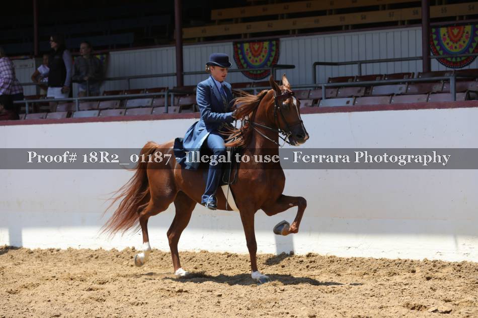 Proof 18R2_01187