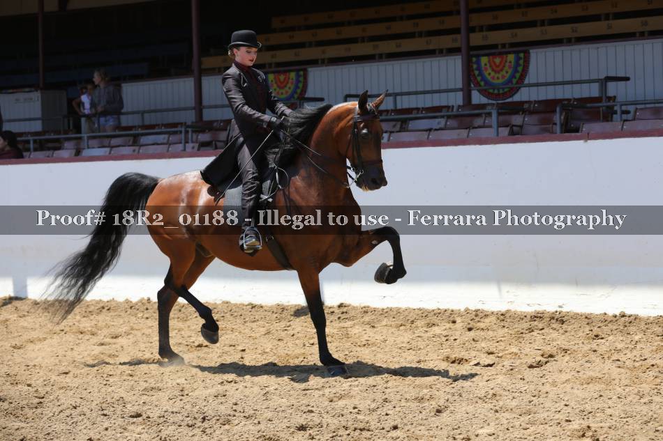 Proof 18R2_01188