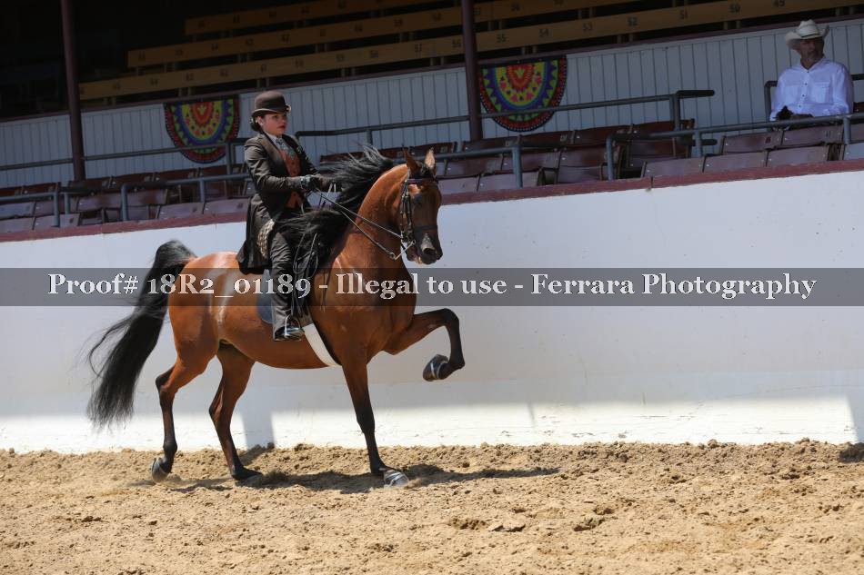 Proof 18R2_01189