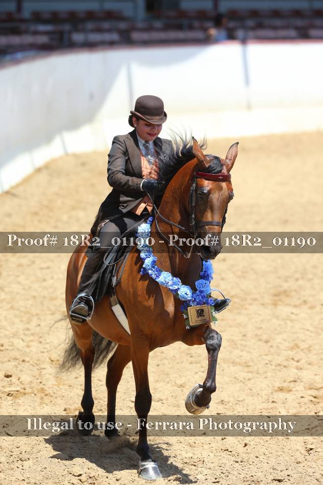 Proof 18R2_01190