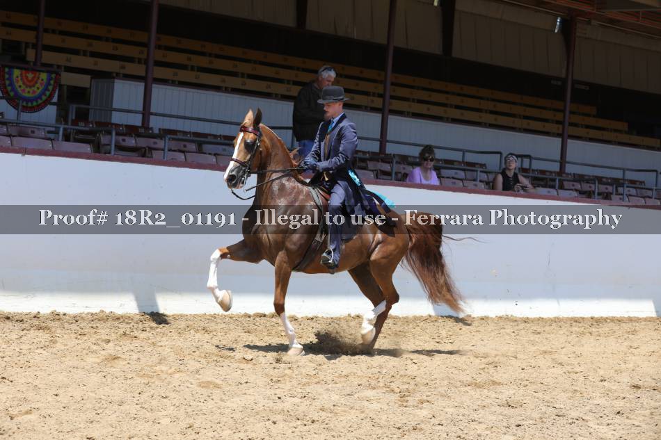 Proof 18R2_01191