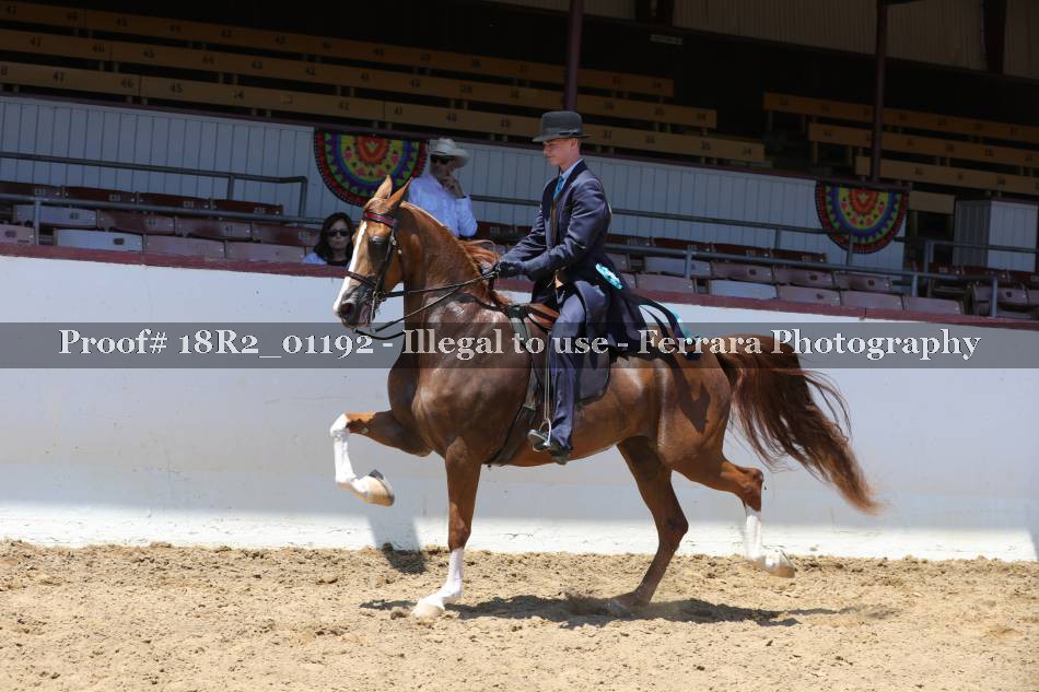 Proof 18R2_01192