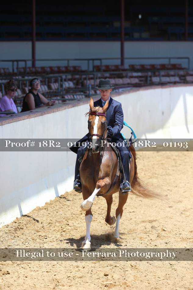 Proof 18R2_01193