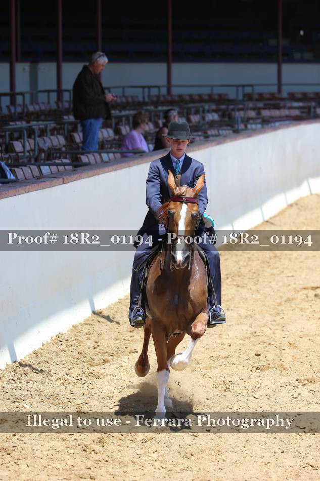 Proof 18R2_01194