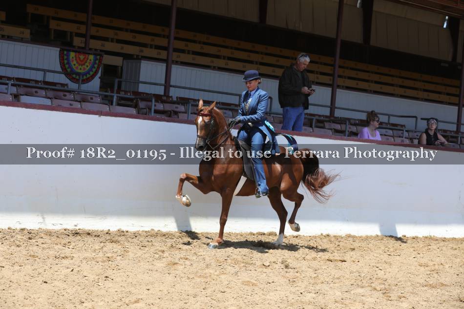 Proof 18R2_01195
