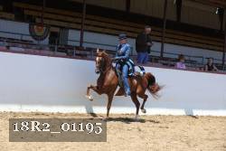 18R2_01195 proof