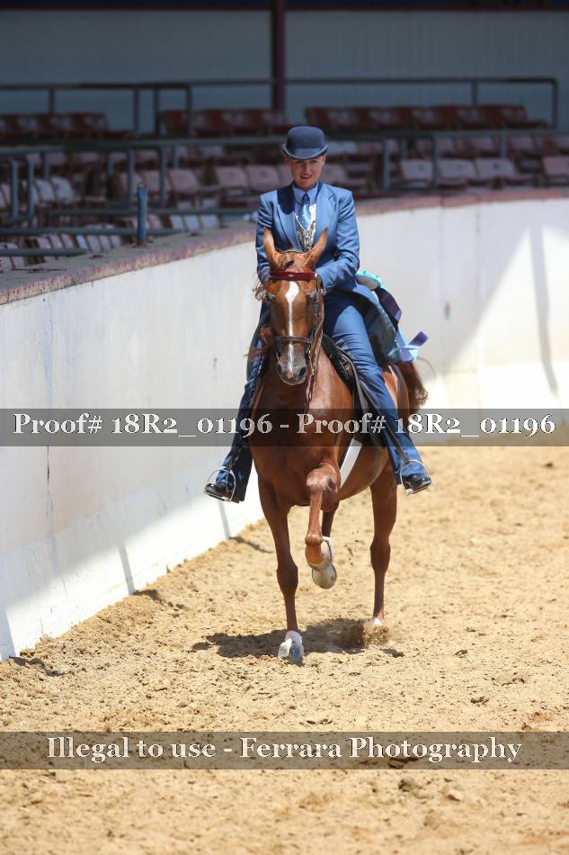 Proof 18R2_01196