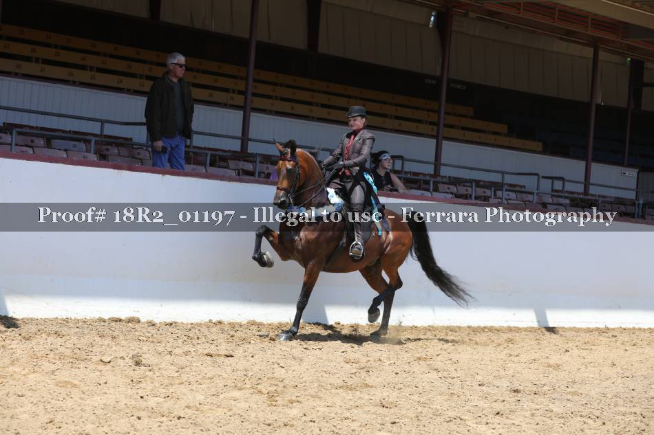 Proof 18R2_01197