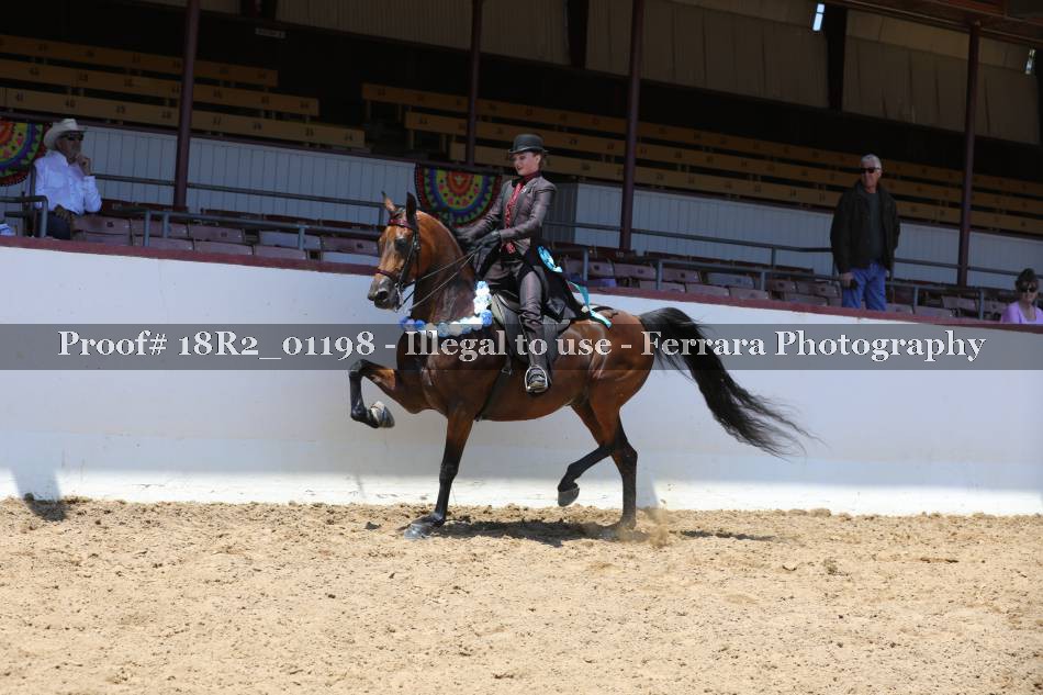 Proof 18R2_01198